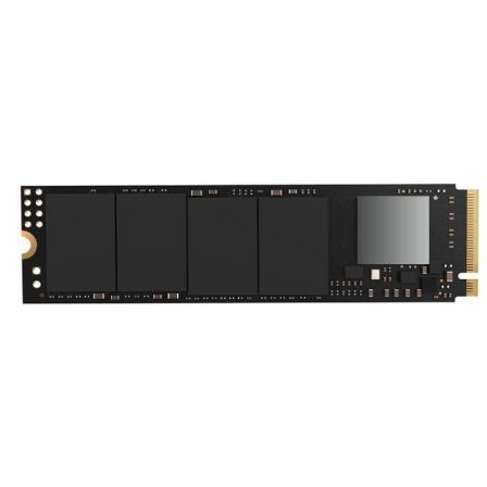 Disco SSD 256GB/ M.2 2280 PCIe
